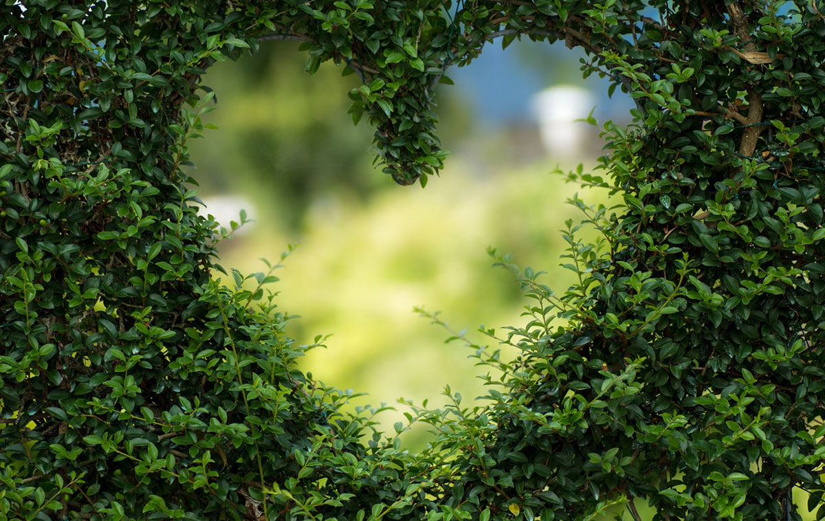 Heart shape in a green, leafy hedge that symbolises Me & My Hair ethos.